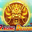 Raging Dragons